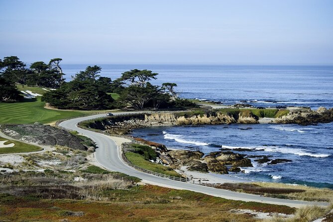 17-Mile Drive, Monterey Peninsula &Carmel Max 12 Small Group Tour - Lone Cypress: The 250-Year-Old Photo Stop You Should Plan For