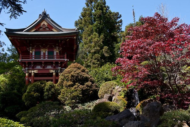 2 Day Hop-On Hop-Off Tour Plus Night Tour - Golden Gate Park, the Japanese Tea Garden, and the Presidio side trips
