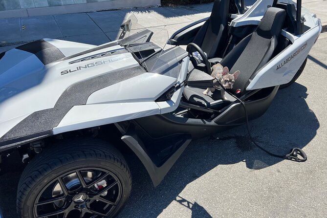 2 Hours fun in a Automatic Slingshot - The driving reality check: licenses, who can drive, and what you should not ignore
