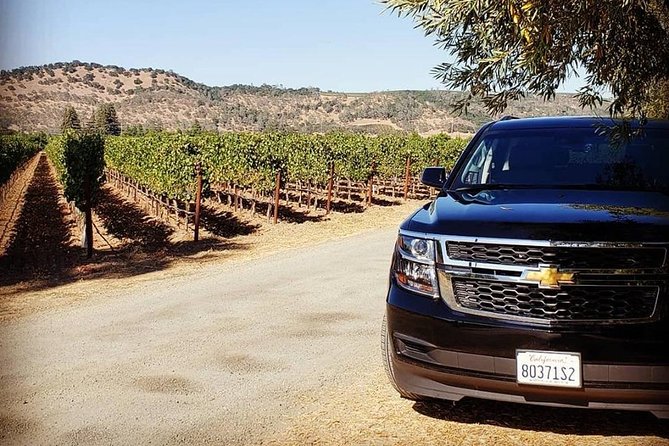 6-Hour Luxury Napa Wine Tasting Tour with Route Planning - Making the most of tasting appointments inside a private group