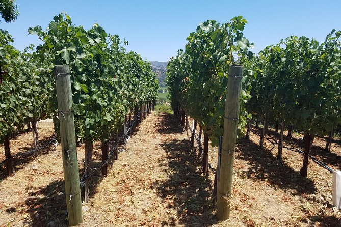 6 Hour Private Wine Country Tour (Sedan, SUV or Limo) - A 6-Hour Private Napa Valley Plan That Lets You Enjoy, Not Navigate