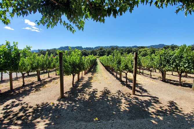 6-Hour Sparkling Wine Tour of Napa Valley - Price and value: what $619 actually buys you