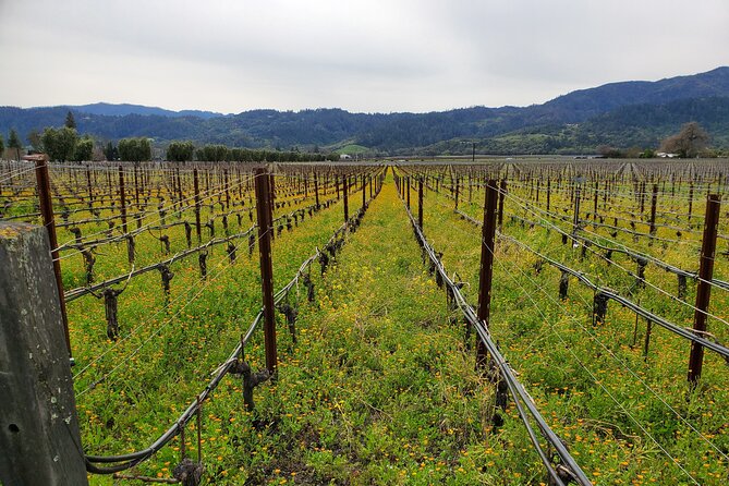 6-Hour Sparkling Wine Tour of Napa Valley - What you should pay attention to at the wineries