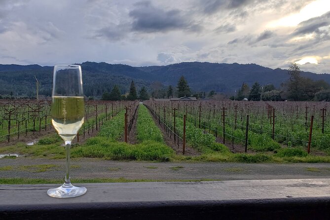 6-Hour Sparkling Wine Tour of Napa Valley - Booking timing: why this sells