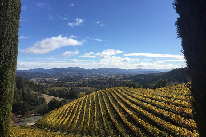 8-Hour, Private Limo Wine Tour to Napa from San Francisco - How the 8-Hour Schedule Really Plays in Napa Valley