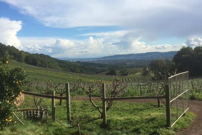 8-Hour Private Wine Tour Experience for up to 6 Guests - San Francisco to Sonoma - Gloria Ferrer in Carneros: sparkling wine and vineyard views