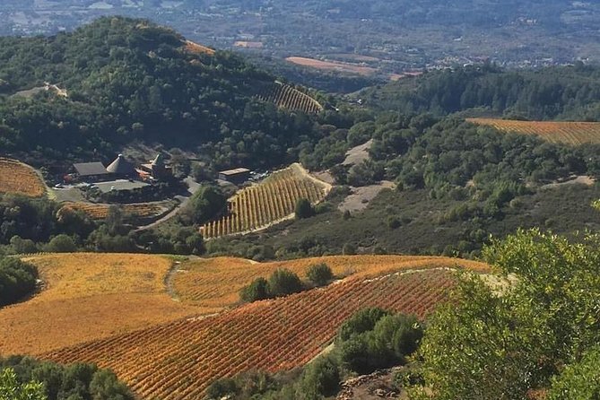 8-Hour Private Wine Tour Experience for up to 6 Guests - San Francisco to Sonoma - Imagery Estate Winery and Art Gallery: wine with a creative context