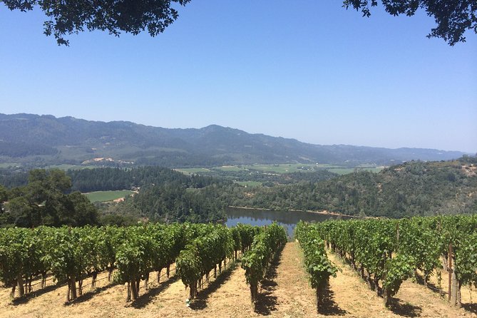 8-Hours Private Limo(up to 8 pass.) Wine Tour of Napa Valley from San Francisco - Luxury limo from San Francisco, built for groups up to 8