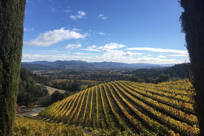 8-Hours Private Limo(up to 8 pass.) Wine Tour of Napa Valley from San Francisco - Drivers make or break the Napa day