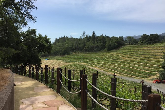 8-Hours Private Limo(up to 8 pass.) Wine Tour of Napa Valley from San Francisco - Best fit: first-timers, bachelorette groups, and anyone tired of driving