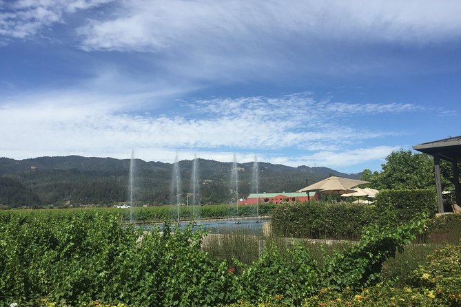 8-Hours Private Limo(up to 8 pass.) Wine Tour of Napa Valley from San Francisco - Should you book this Napa Valley private limo wine tour?