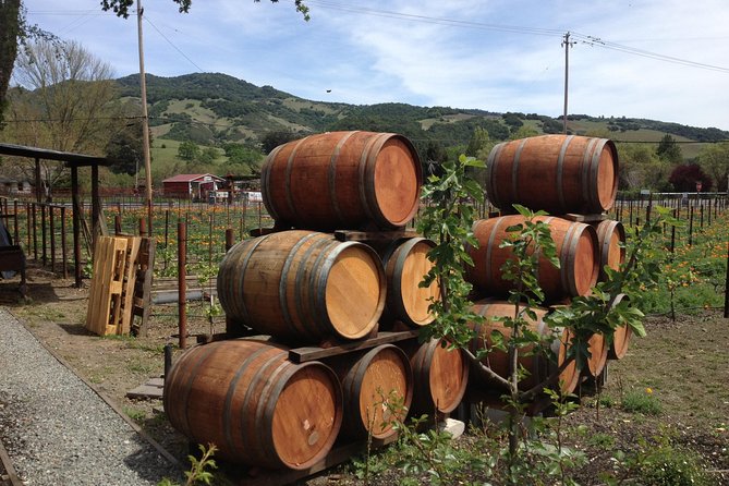 8-Hours Private SUV (up to 6 Passengers) San Francisco to Napa Valley Wine Tour - San Francisco to Napa in a Private SUV, Not a Shuffle