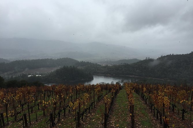 8-Hours Private SUV (up to 6 Passengers) San Francisco to Napa Valley Wine Tour - The Human Touch: Chauffeur Service That Makes the Day Easier