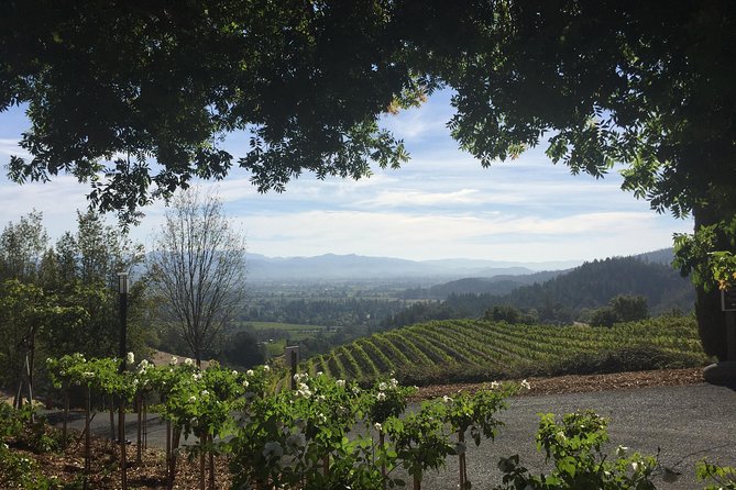 8-Hours Private SUV (up to 6 Passengers) San Francisco to Napa Valley Wine Tour - Who This Tour Fits Best (And Who Might Skip It)