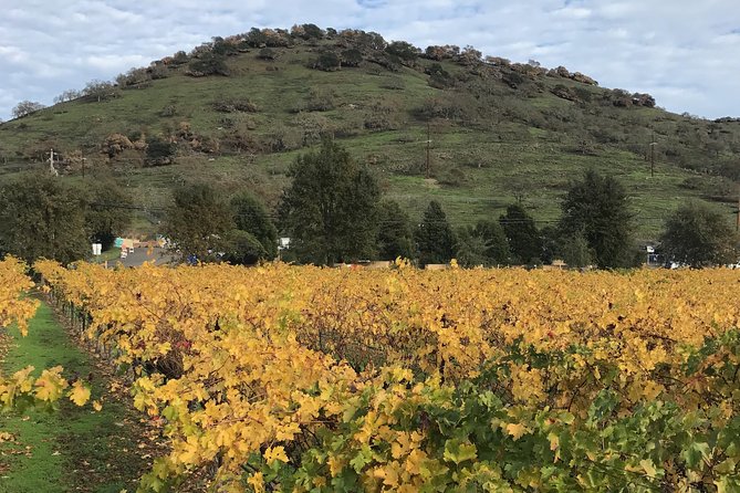 8hr Private Sonoma and Napa Wine Tour from San Francisco.XL SUV - Napa Valley Time: Picking Wineries That Match Your Group