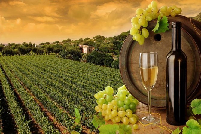 8hr-Private Wine Tour from SF & 1/2 Case of Californian wine. - Key things to know before you go