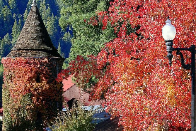 8hr-Private Wine Tour from SF & 1/2 Case of Californian wine. - Sonoma Valley first: views, easier pacing, and plenty of choice