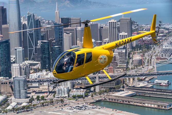 Alcatraz City Sites Helicopter Adventure - Bay Bridge plus Pier 39 sea lions: moving from infrastructure to wildlife