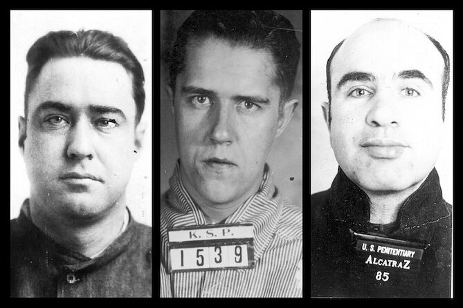 Alcatraz Day Tour and San Francisco Bay Cruise - Who this tour fits best
