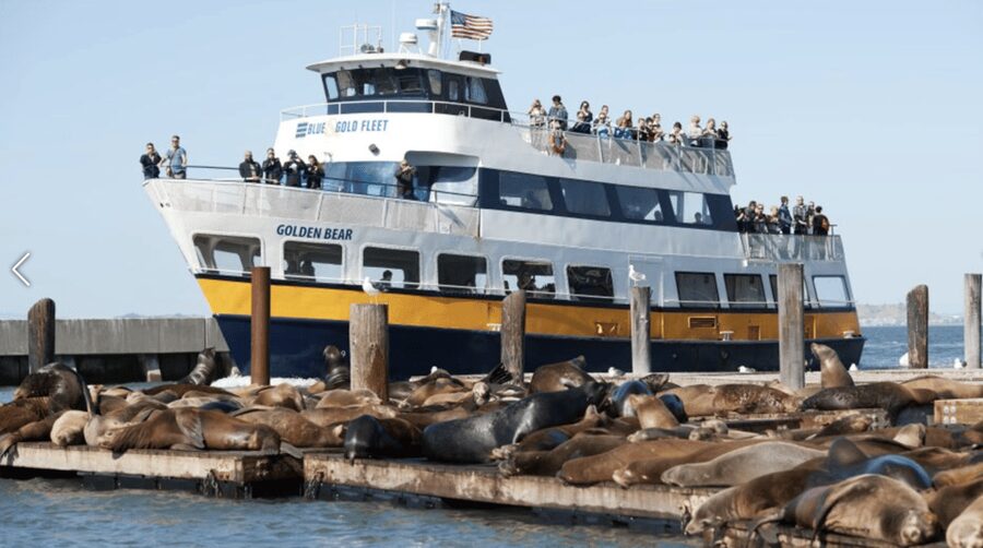 Alcatraz Island Prison Tour & Bay Cruise Combined Package - FAQ