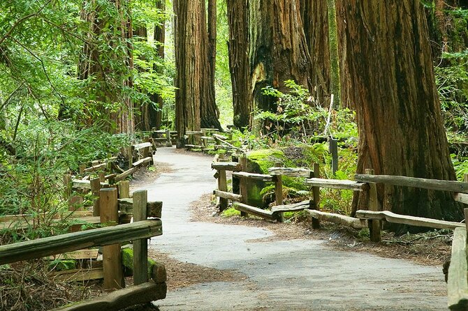 Alcatraz Muir Woods Express with Golden Gate Bridge Visit - Key takeaways before you go