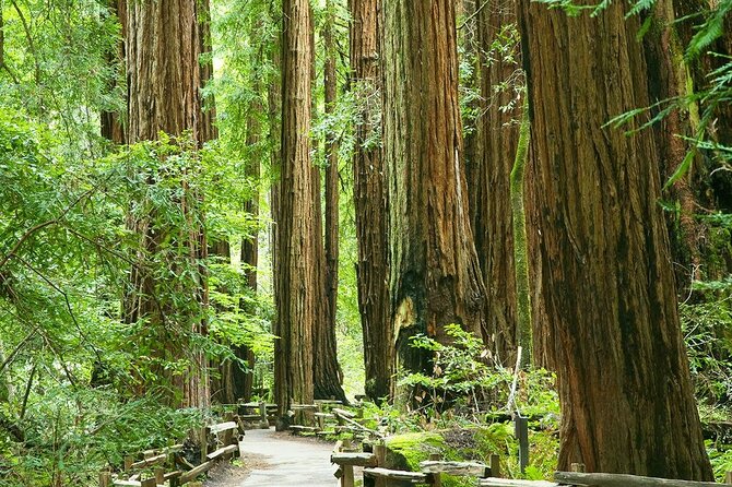 Alcatraz Muir Woods with Sausalito Express - How the guide and the narration shape the day