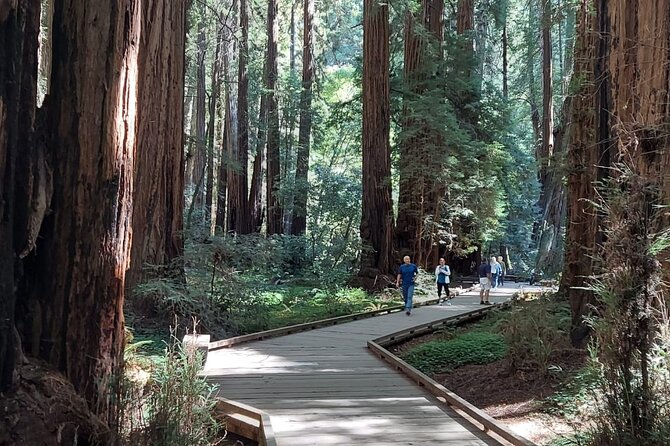 Amazing Muir Woods and Sausalito Tour - The ride and guide experience: where comfort and pacing matter