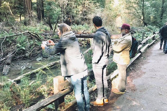 Amazing Muir Woods and Sausalito Tour - Who this tour is best for, and who might want more time