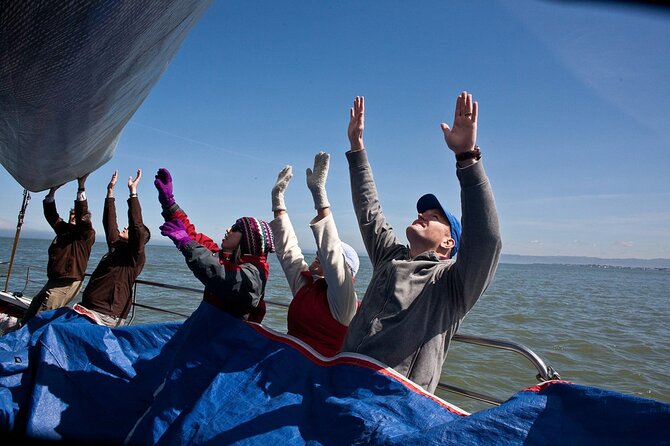 America's Cup Day Sailing Adventure on San Francisco Bay - Should you book this America’s Cup Day Sail?
