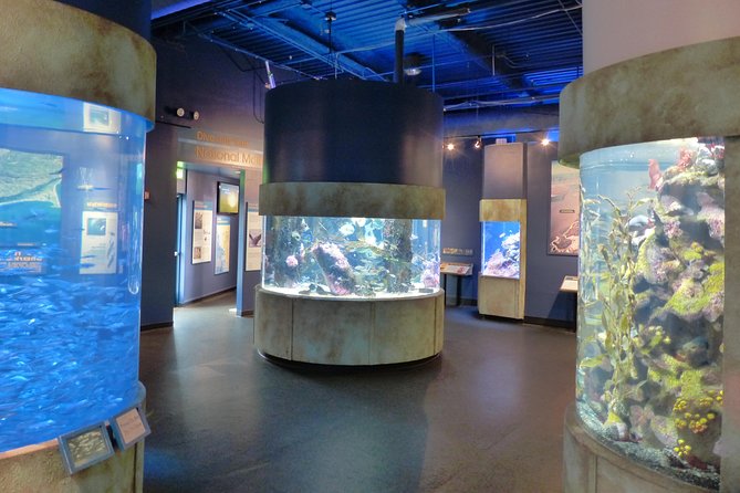 Aquarium of the Bay General Admission Ticket - The Bay Exhibit: Where the Story Starts