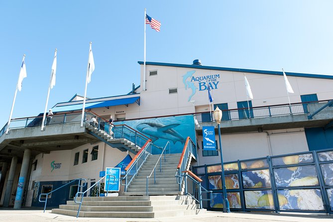 Aquarium of the Bay General Admission Ticket - Who Should Book General Admission (and Who Might Not)