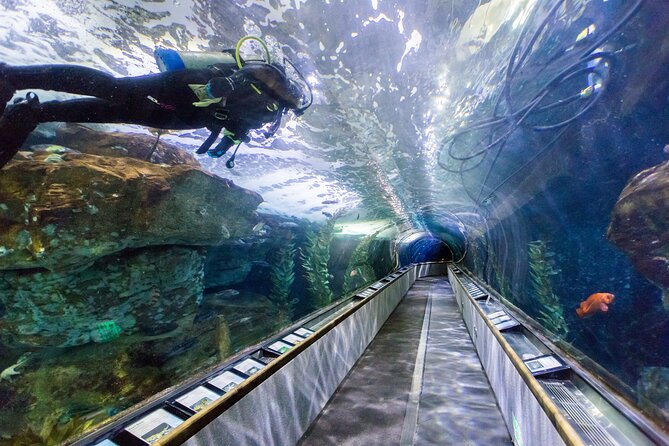 Aquarium of the Bay VIP Experience - Your guide and the Q&A style you should expect