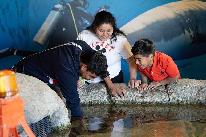 Aquarium of the Bay VIP Experience - The river otter training video: the wrap-up you should not skip mentally