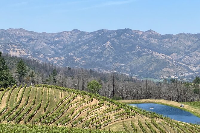 Best Private Wine Tours of Napa Valley-Sonoma for up to 8 people - Stop 2 in Sonoma Valley: Sonoma Square, approachable pacing, and classic styles