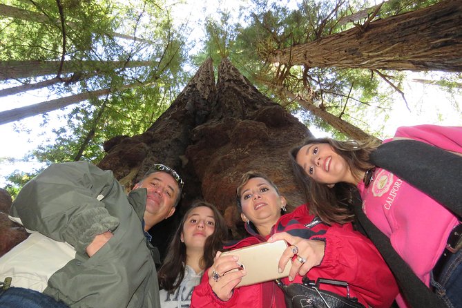 Best San Francisco, Muir Woods & Sausalito Private Combo Tour - Who this tour suits best