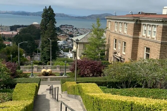 Billionaire Row and Palace of Fine Art Walking Tour - Where the Tour Begins: Alta Plaza Park, Then Straight Into Views