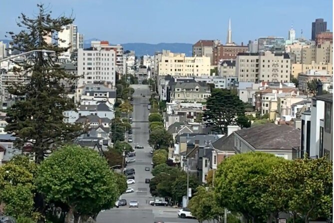 Billionaire Row and Palace of Fine Art Walking Tour - Lyon Street Steps: When SF Turns a Staircase Into a Scene