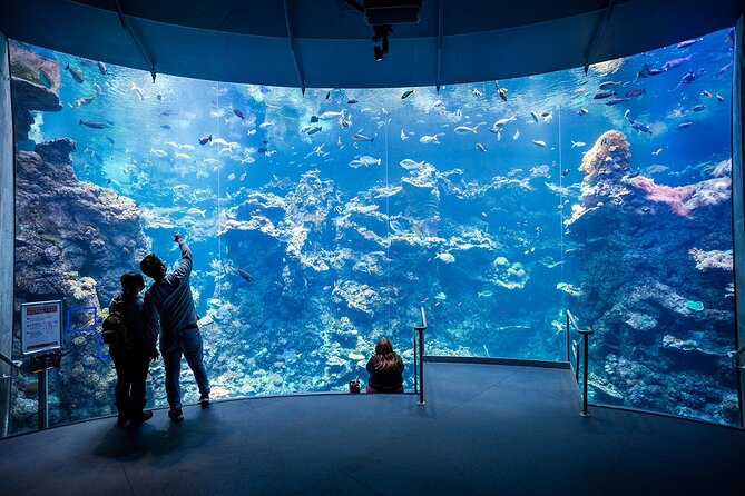 California Academy of Sciences General Admission Ticket - Instant-Access Ticket, Golden Gate Park Location
