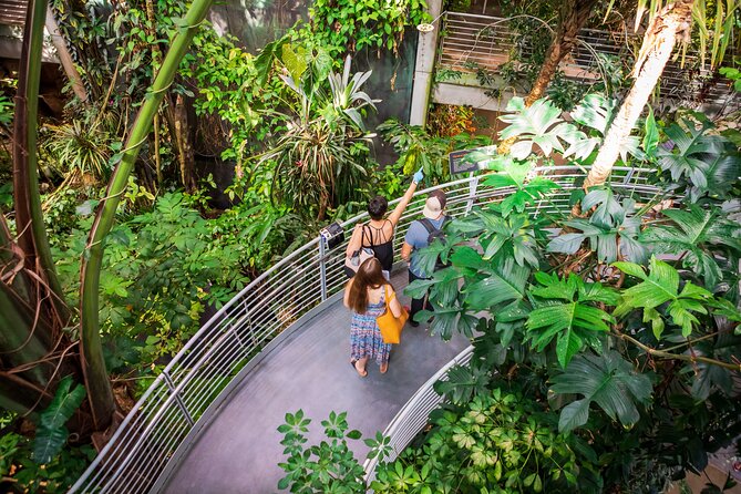 California Academy of Sciences General Admission Ticket - Stop 1: Main Gallery Highlights and Animal-Focused Exhibits