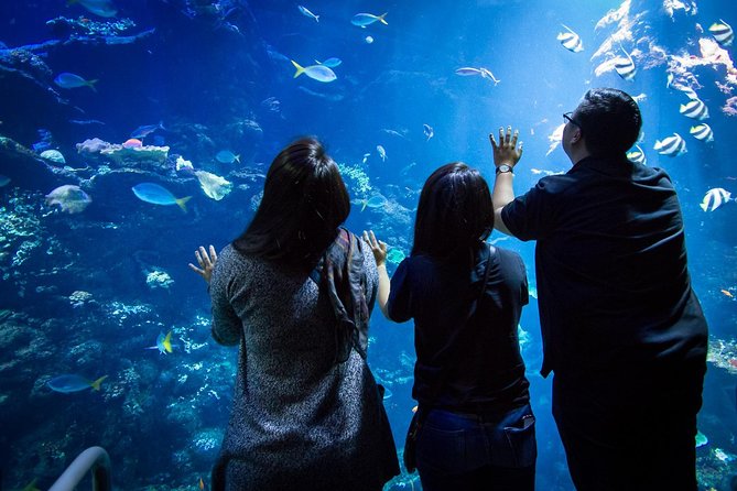 California Academy of Sciences NightLife Admission Ticket - Your Museum Route: Rainforest Dome, Claude the Alligator, and African Penguins