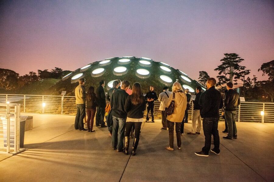 California Academy of Sciences Thursday NightLife Admission - Your nighttime animal lineup: aquarium and rainforest show up as the main character