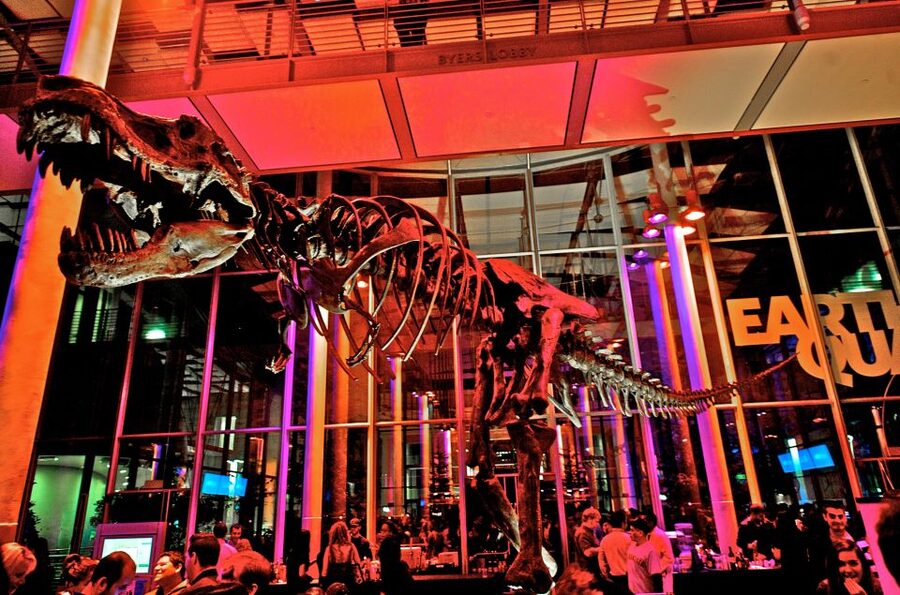 California Academy of Sciences Thursday NightLife Admission - Music, bars, and cocktails: what you can actually do with your drink