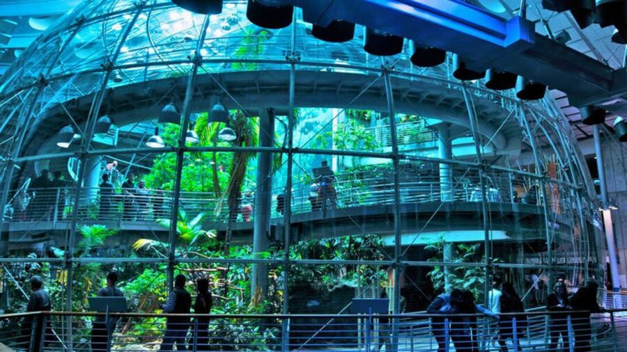 California Academy of Sciences Thursday NightLife Admission - Hands-on exhibits and museum wonders, but in adult hours
