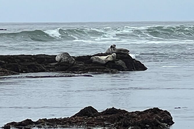 Carmel, Monterey and Big Sur Tour Private Tour from San Francisco - Big Sur viewpoints: Bixby Bridge, Hurricane Point, and the photo stops that matter