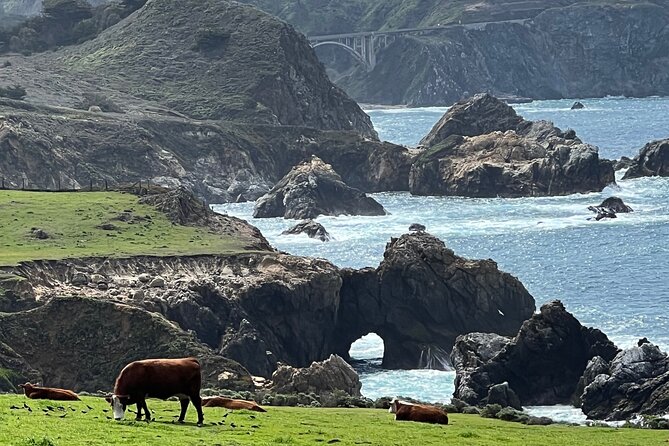 Carmel, Monterey and Big Sur Tour Private Tour from San Francisco - Monterey and Pacific Grove: the pier, sea lions, and easy coastal vibes
