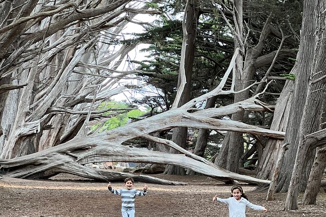 Carmel, Monterey and Big Sur Tour Private Tour from San Francisco - Price and Logistics: $985 per group, and when it feels worth it