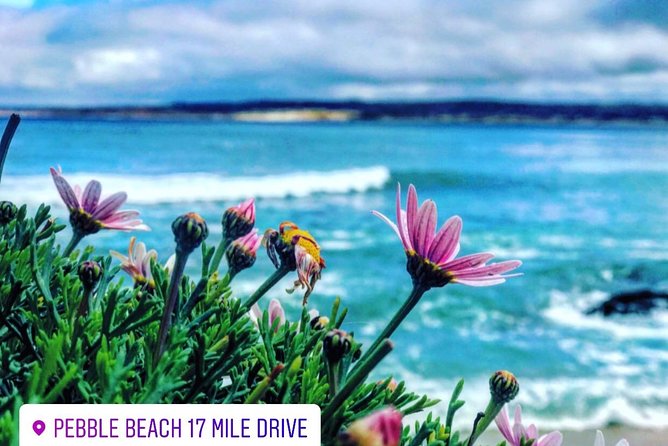 Carmel / Monterey Hwy 1 tour - Transportation, comfort, and what the guide actually does