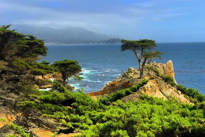 Carmel / Monterey Hwy 1 tour - Your morning start from San Francisco, and why timing matters