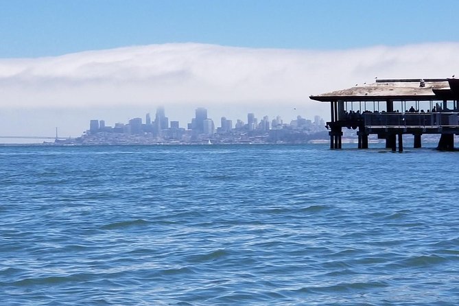 Combo Small-Group Tour: SF City plus Muir Woods & Sausalito - How this SF, Muir Woods, and Sausalito combo really works in one long day