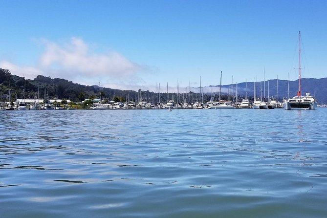 Combo Small-Group Tour: SF City plus Muir Woods & Sausalito - Marin County ride to Muir Woods: Bay views with less stress than DIY